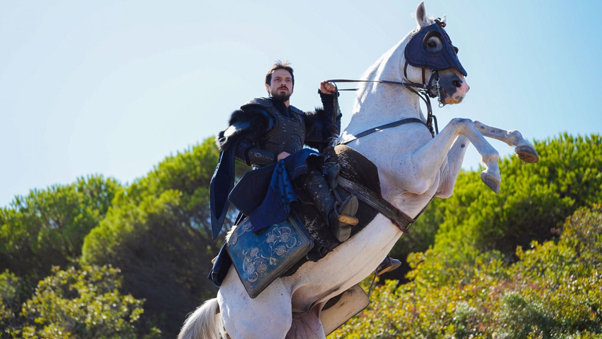 Kuruluş Orhan Updates